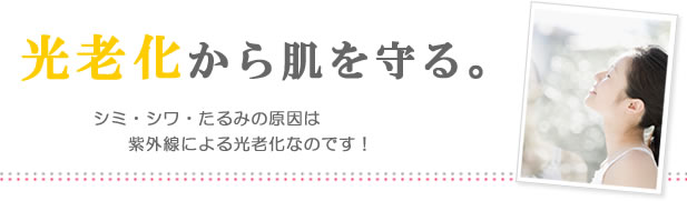 ���V�����甧�����B