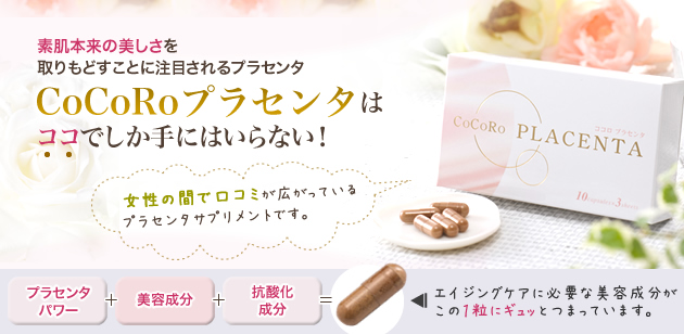 CoCoRo�v���Z���^�Ƃ�