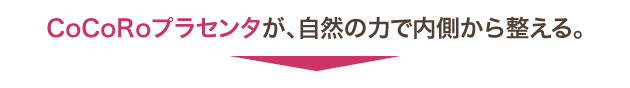 CoCoRo�v���Z���^���A���R�̗͂œ������琮����