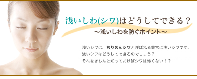 浅いしわはどうしてできる?