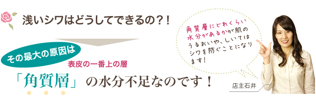 プラセンタ屋10の安心宣言