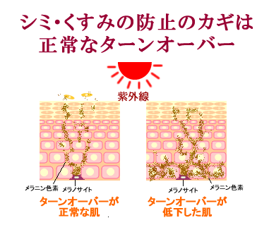 �V�~�E�����݂̖h�~�̃J�M�͐���ȃ^�[���I�[�o�[