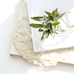 �v���Z���^����