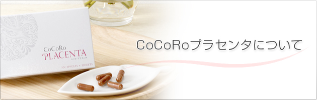 CoCoRo�v���Z���^�ɂ���