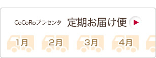 ����R�[�X