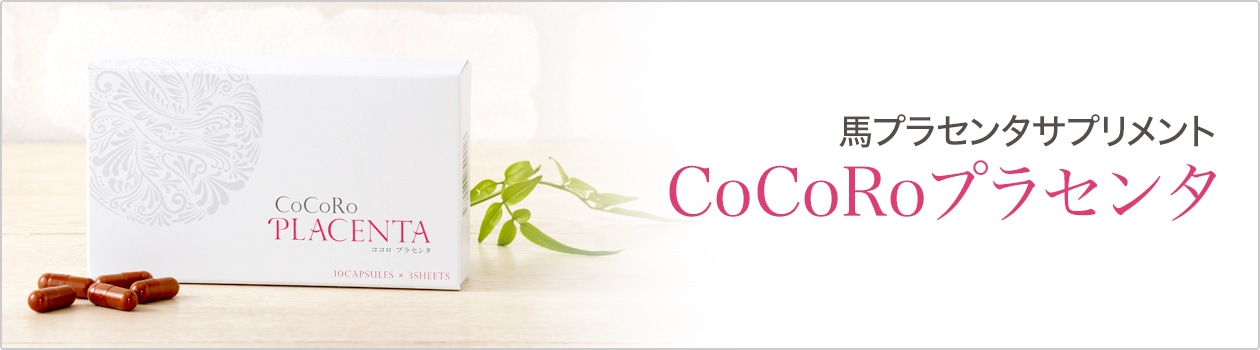 �n�v���Z���^�T�v�������gCoCoRo�v���Z���^