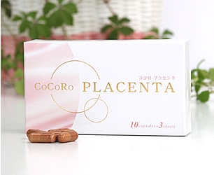 CoCoRo�v���Z���^