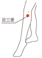 足三里