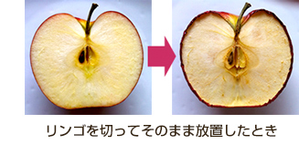 リンゴ