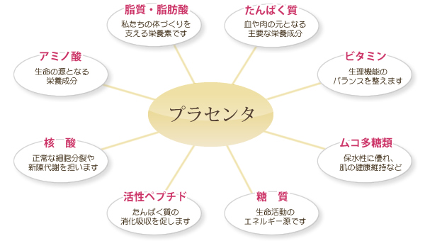 プラセンタの主な栄養素