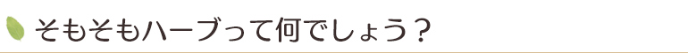 そもそもハーブって何でしょう?