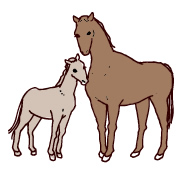 馬