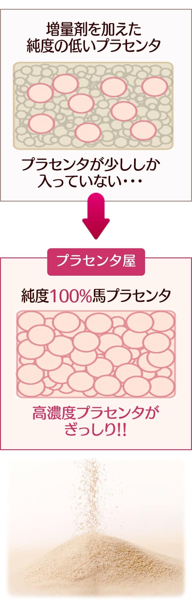 CoCoRoプラセンタのアミノ酸含有量