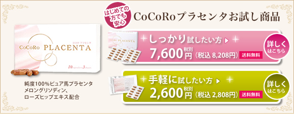 CoCoRo�v���Z���^���������i