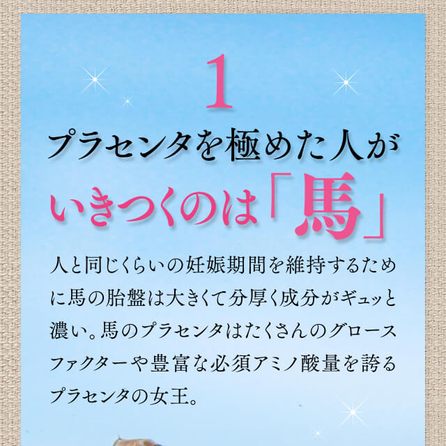 1.プラセンタを極めたい人がいきつくのは【馬】