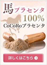 �n�v���Z���^100% CoCoRo�v���Z���^