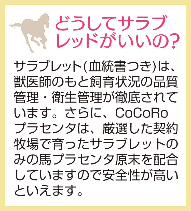 どうしてサラブレッドがいいの?