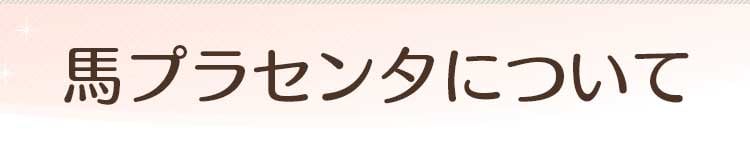 馬プラセンタについて